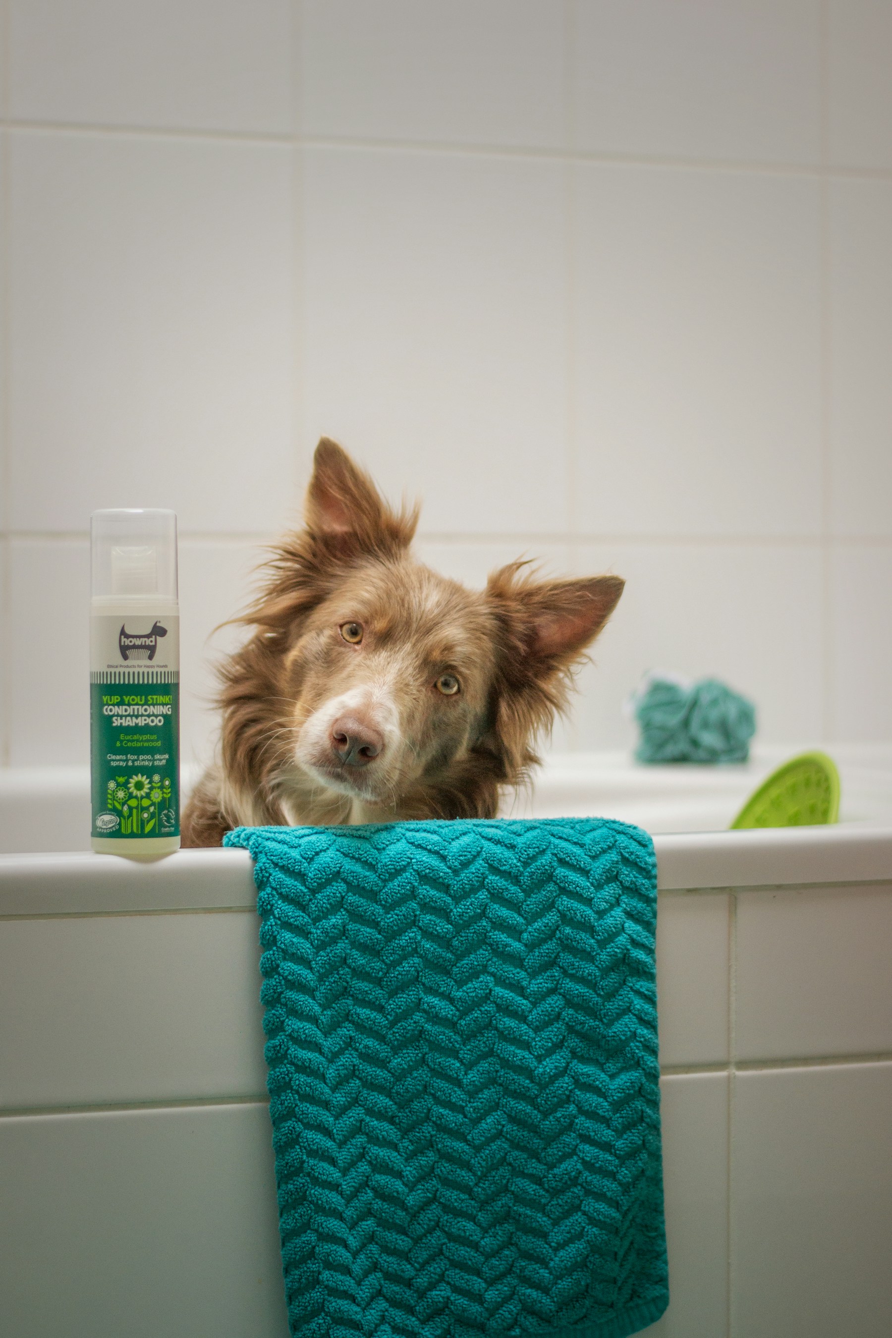 Grooming photo 1